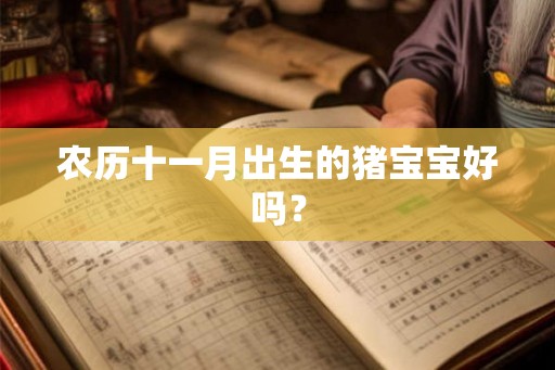 农历十一月出生的猪宝宝好吗? 农历十一月出生的猪宝宝好吗?