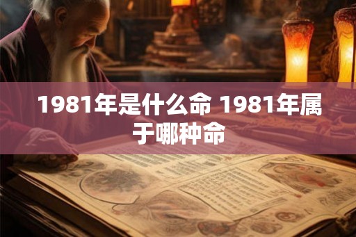 1981年是什么命 1981年属于哪种命