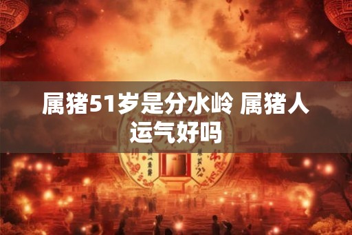 属猪51岁是分水岭 属猪人运气好吗