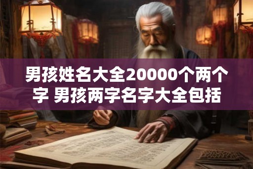 男孩姓名大全20000个两个字 男孩两字名字大全包括姓氏