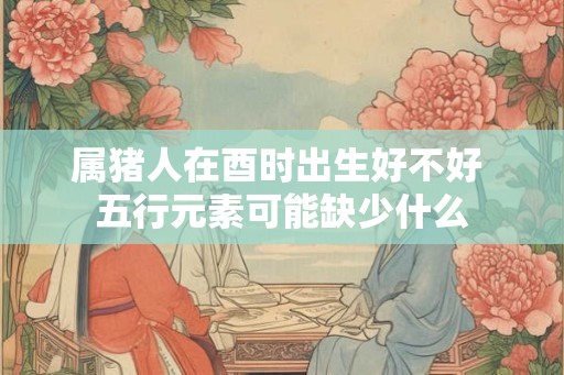 属猪人在酉时出生好不好 五行元素可能缺少什么