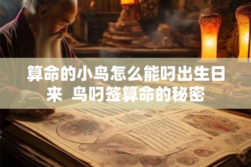 算命的小鸟怎么能叼出生日来  鸟叼签算命的秘密