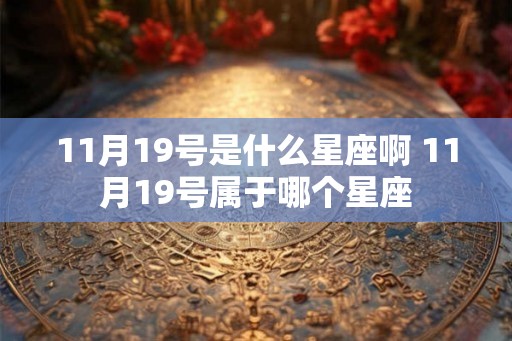 11月19号是什么星座啊 11月19号属于哪个星座 11月19号是什么星座啊 11月19号属于哪个星座