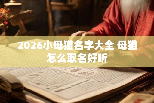 2026小母猫名字大全 母猫怎么取名好听