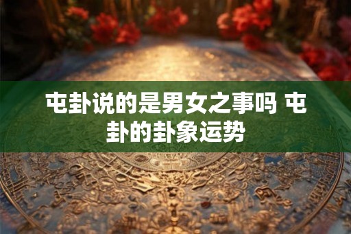 屯卦说的是男女之事吗 屯卦的卦象运势
