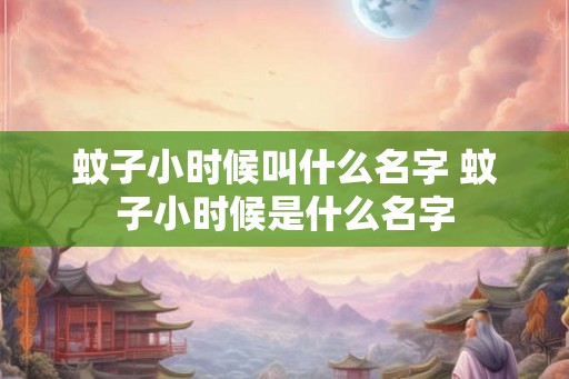 蚊子小时候叫什么名字 蚊子小时候是什么名字