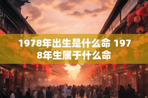 1978年出生是什么命 1978年生属于什么命