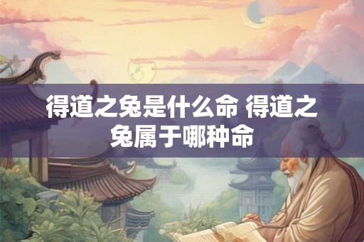 得道之兔是什么命 得道之兔属于哪种命