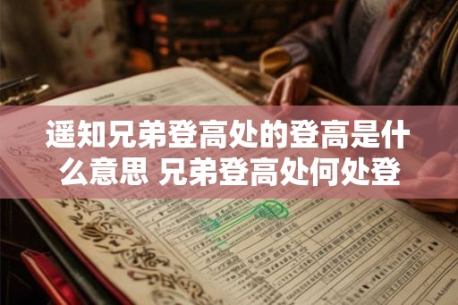 遥知兄弟登高处的登高是什么意思 兄弟登高处何处登高