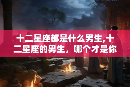 十二星座都是什么男生,十二星座的男生，哪个才是你的菜？