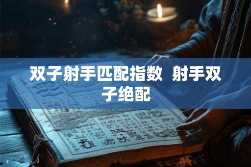 双子射手匹配指数  射手双子绝配