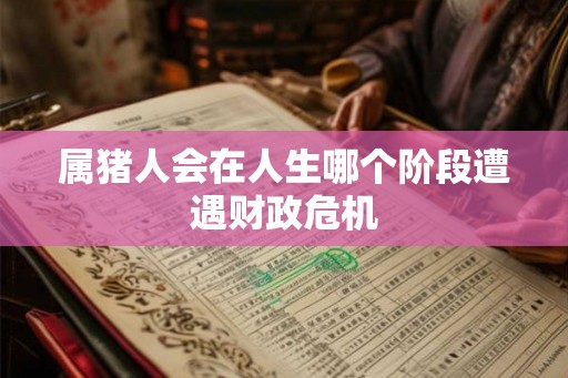 属猪人会在人生哪个阶段遭遇财政危机