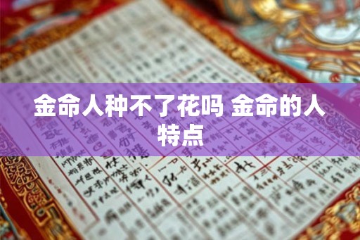 金命人种不了花吗 金命的人特点 金命人种不了花吗 金命的人特点