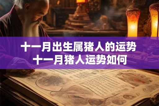十一月出生属猪人的运势 十一月猪人运势如何