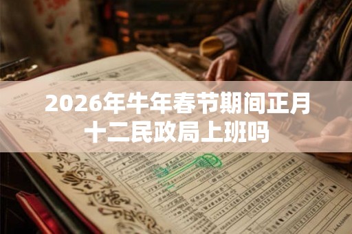 2026年牛年春节期间正月十二民政局上班吗