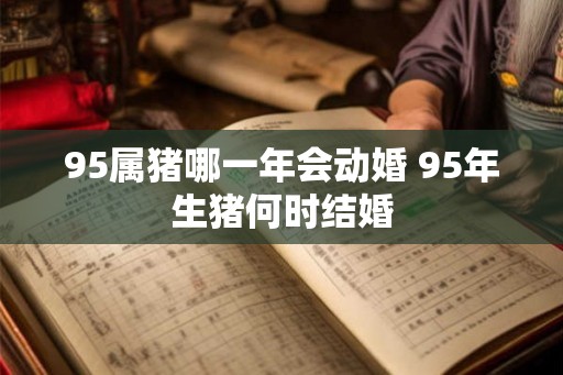 95属猪哪一年会动婚 95年生猪何时结婚 95属猪哪一年会动婚 95年生猪何时结婚