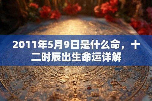 2011年5月9日是什么命,十二时辰出生命运详解 2011年5月9日是什么命,十二时辰出生命运详解