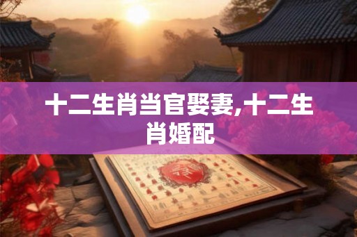 十二生肖当官娶妻,十二生肖婚配