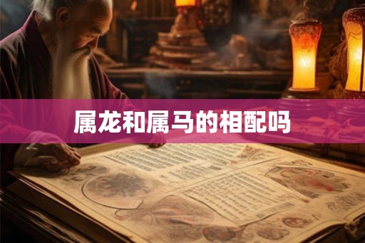 属龙和属马的相配吗 属龙和属马的相配吗