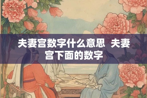 夫妻宫数字什么意思  夫妻宫下面的数字