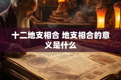 十二地支相合 地支相合的意义是什么
