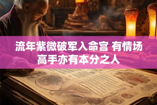 流年紫微破军入命宫 有情场高手亦有本分之人