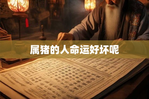 属猪的人命运好坏呢 属猪的人命运好坏呢