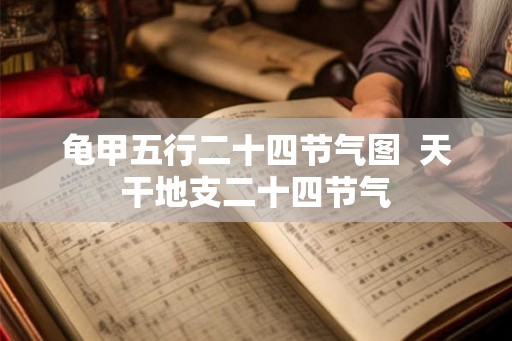 龟甲五行二十四节气图  天干地支二十四节气