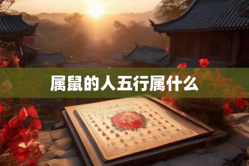 属鼠的人五行属什么