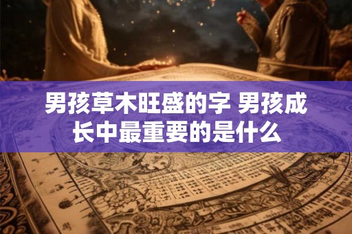 男孩草木旺盛的字 男孩成长中最重要的是什么