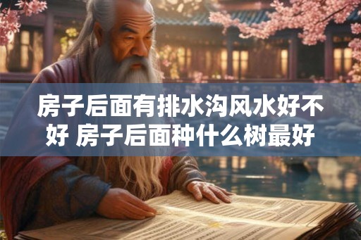 房子后面有排水沟风水好不好 房子后面种什么树最好