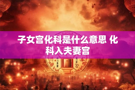 子女宫化科是什么意思 化科入夫妻宫