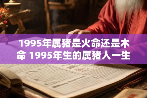 1995年属猪是火命还是木命 1995年生的属猪人一生命运