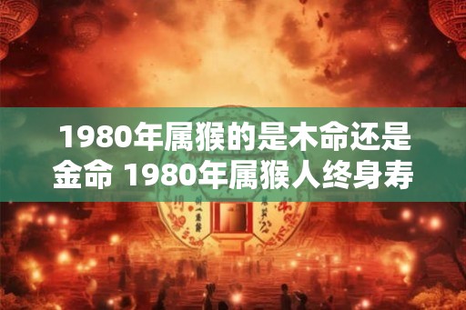 1980年属猴的是木命还是金命 1980年属猴人终身寿命