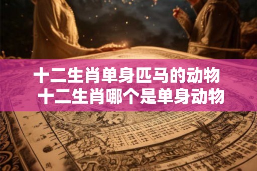 十二生肖单身匹马的动物  十二生肖哪个是单身动物