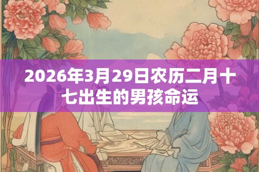 2026年3月29日农历二月十七出生的男孩命运