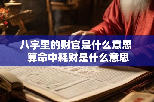 八字里的财官是什么意思  算命中耗财是什么意思