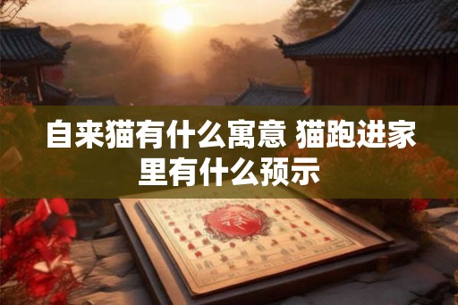 自来猫有什么寓意 猫跑进家里有什么预示
