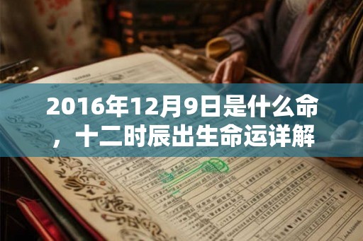 2016年12月9日是什么命，十二时辰出生命运详解