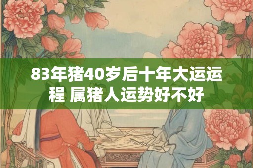 83年猪40岁后十年大运运程 属猪人运势好不好