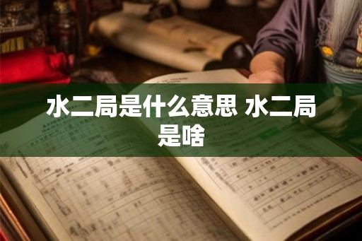 水二局是什么意思 水二局是啥