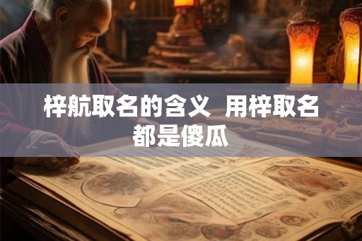 梓航取名的含义  用梓取名都是傻瓜