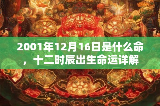 2001年12月16日是什么命,十二时辰出生命运详解 2001年12月16日是什么命,十二时辰出生命运详解