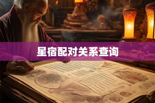 星宿配对关系查询