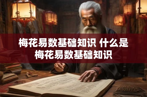 梅花易数基础知识 什么是梅花易数基础知识 梅花易数基础知识 什么是梅花易数基础知识