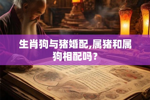 生肖狗与猪婚配,属猪和属狗相配吗? 生肖狗与猪婚配,属猪和属狗相配吗?