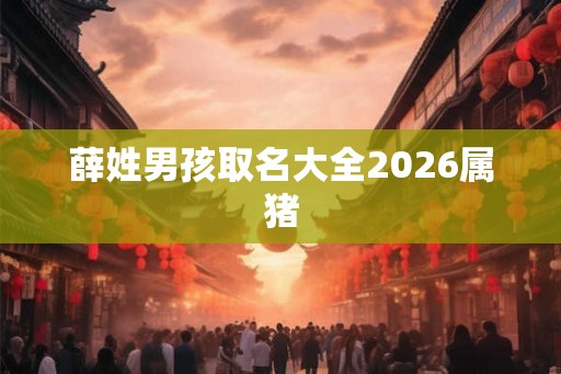 薛姓男孩取名大全2026属猪