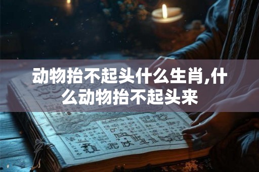 动物抬不起头什么生肖,什么动物抬不起头来