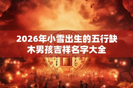 2026年小雪出生的五行缺木男孩吉祥名字大全