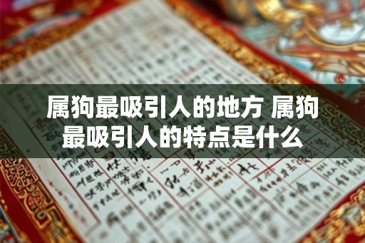 属狗最吸引人的地方 属狗最吸引人的特点是什么